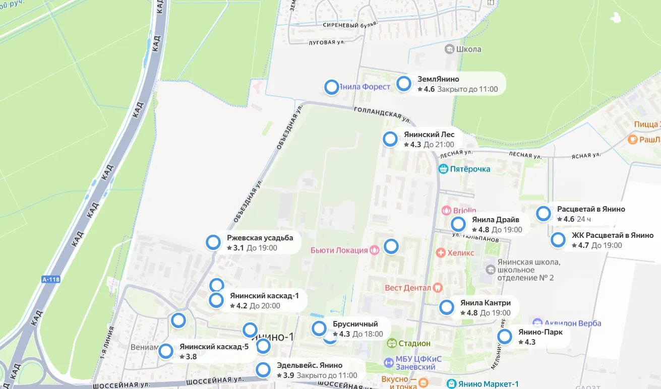 Медведь в Янино-1 заставил покупателей квартир вздрогнуть