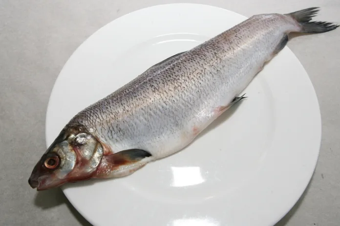 рыба