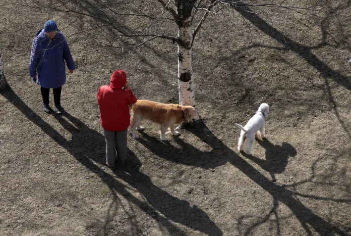 48395_Baltphoto_Андрей_Пронин
