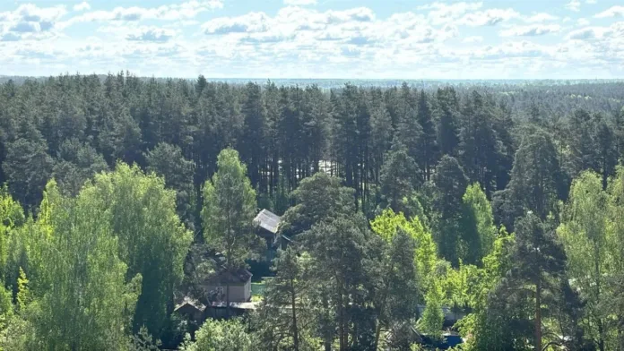 пресс-служба Сбера