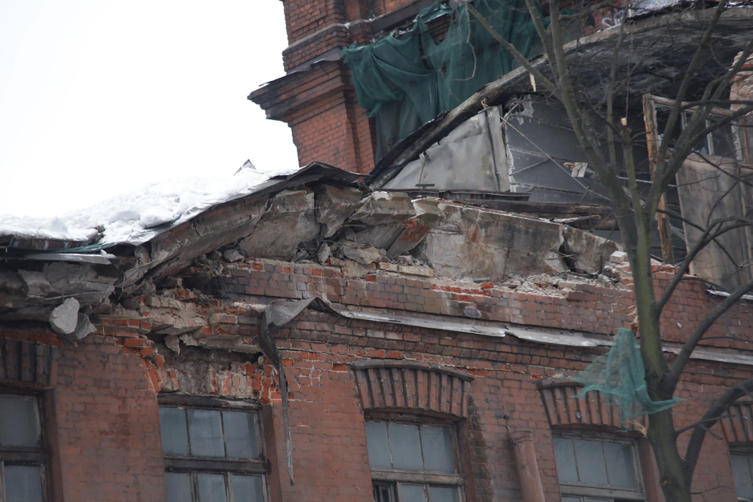 К выборам Петербург «очистили» от экопроблем — на словах