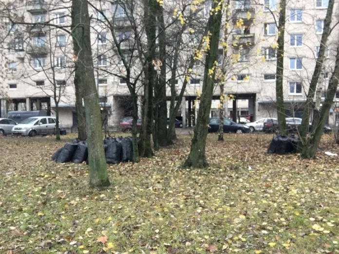 листья