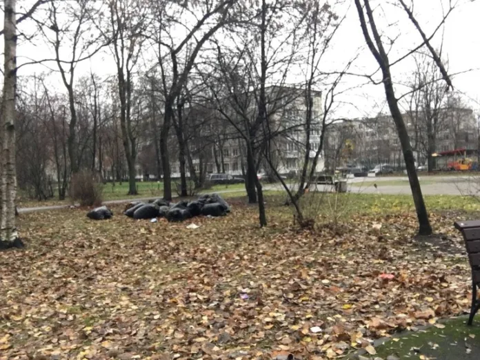 листья